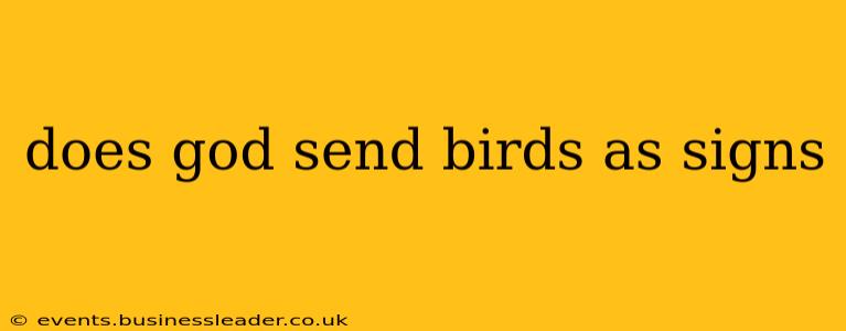 does god send birds as signs