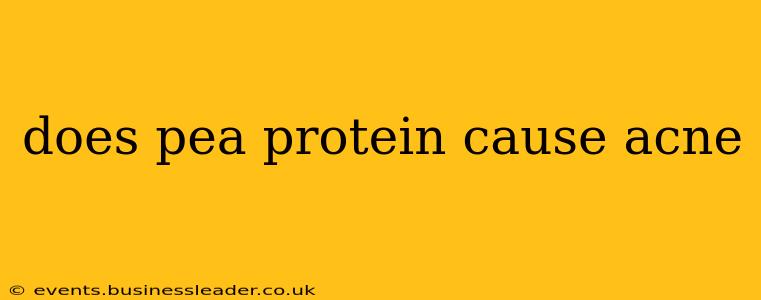 does pea protein cause acne