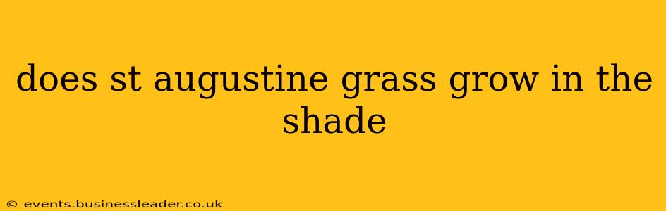 does st augustine grass grow in the shade