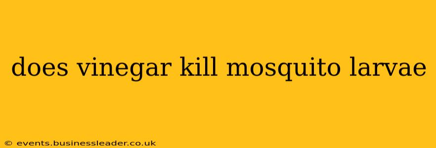 does vinegar kill mosquito larvae