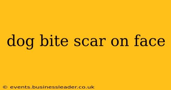 dog bite scar on face