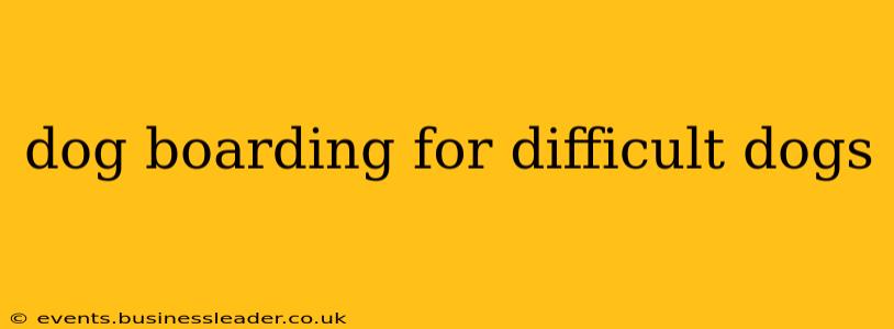 dog boarding for difficult dogs