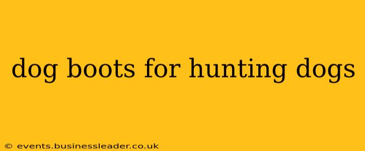 dog boots for hunting dogs