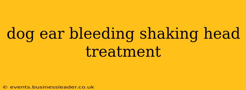 dog ear bleeding shaking head treatment