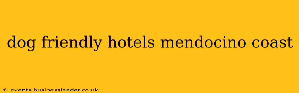 dog friendly hotels mendocino coast
