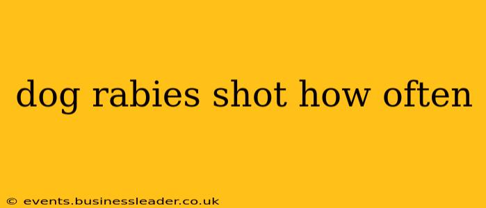 dog rabies shot how often