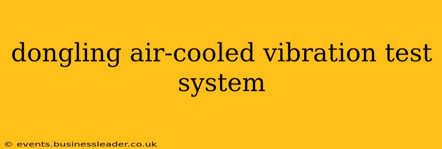 dongling air-cooled vibration test system