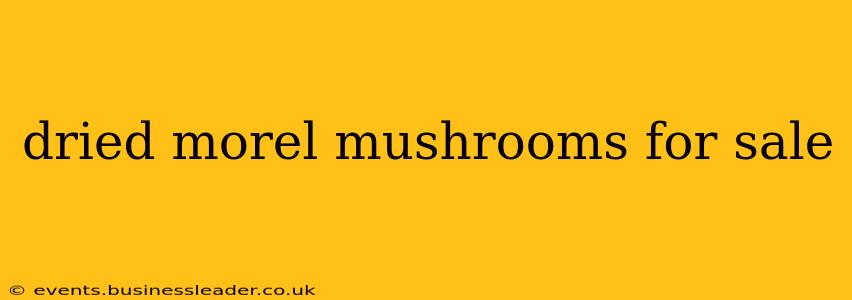 dried morel mushrooms for sale