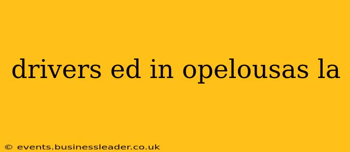 drivers ed in opelousas la