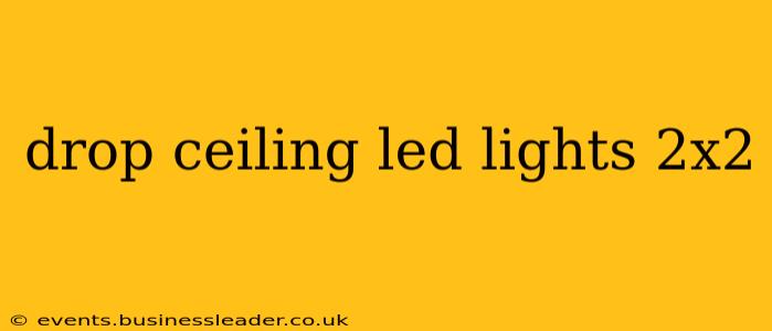 drop ceiling led lights 2x2