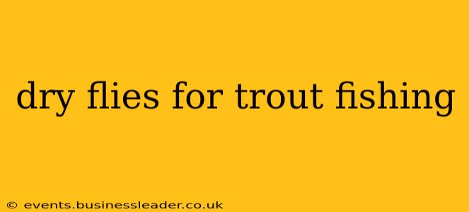dry flies for trout fishing