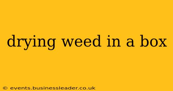 drying weed in a box