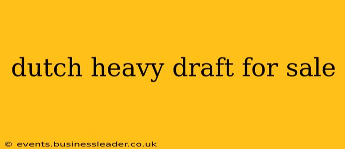 dutch heavy draft for sale