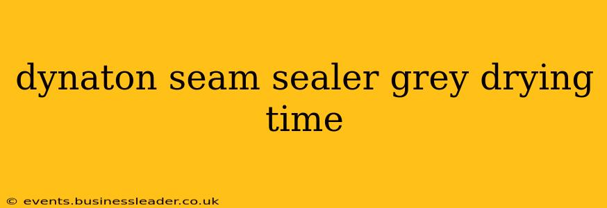 dynaton seam sealer grey drying time