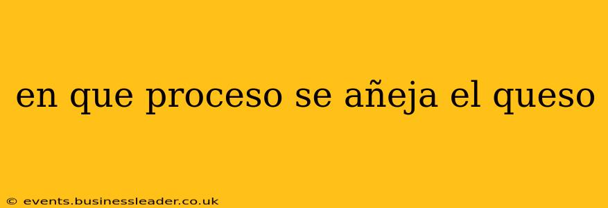 en que proceso se añeja el queso