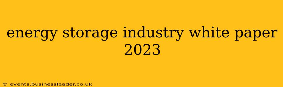 energy storage industry white paper 2023