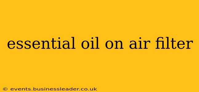 essential oil on air filter