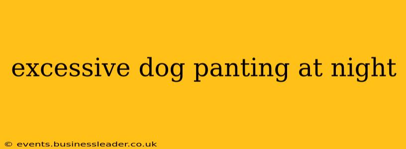 excessive dog panting at night