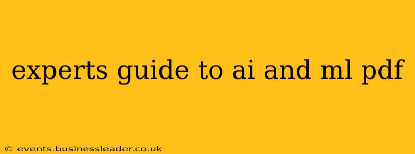 experts guide to ai and ml pdf