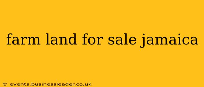 farm land for sale jamaica