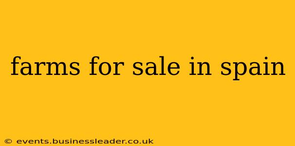 farms for sale in spain