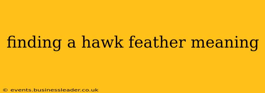 finding a hawk feather meaning