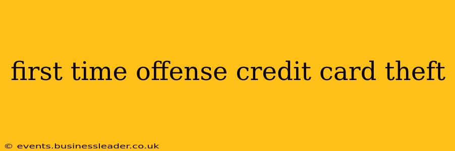 first time offense credit card theft