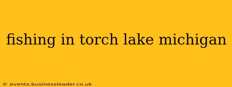 fishing in torch lake michigan