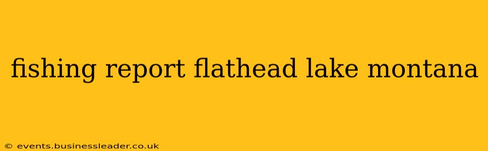 fishing report flathead lake montana