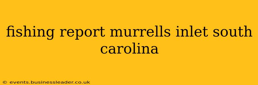 fishing report murrells inlet south carolina