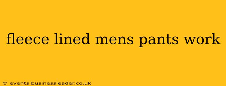 fleece lined mens pants work