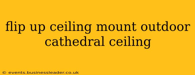 flip up ceiling mount outdoor cathedral ceiling