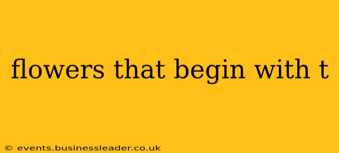 flowers that begin with t