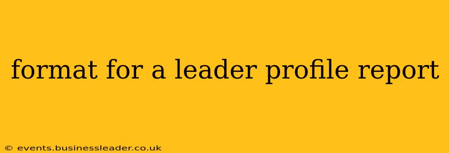 format for a leader profile report