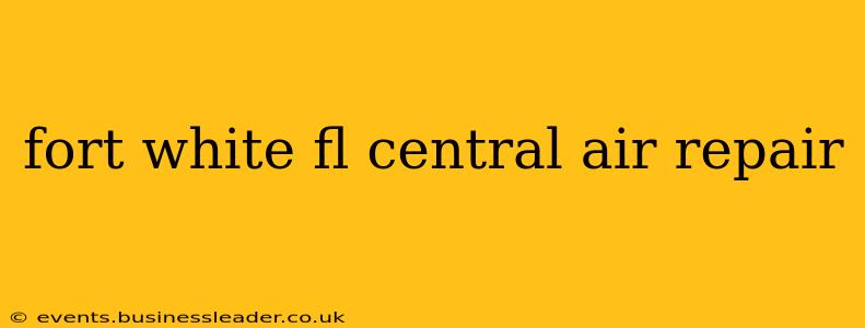 fort white fl central air repair