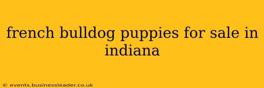 french bulldog puppies for sale in indiana
