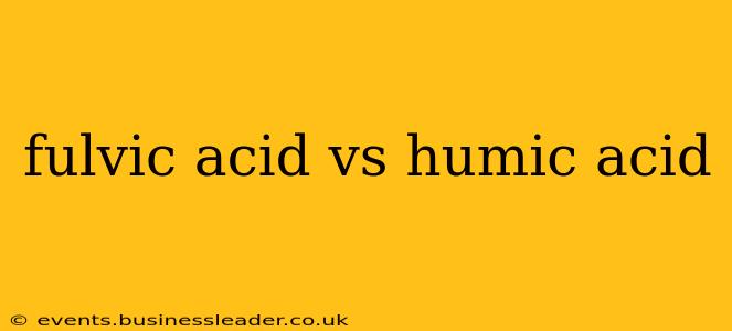 fulvic acid vs humic acid