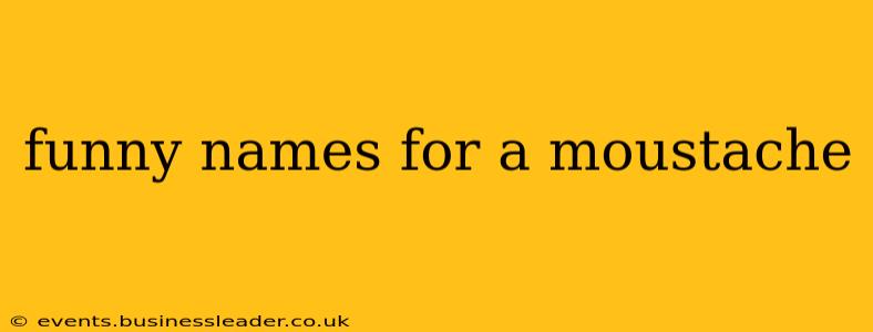 funny names for a moustache