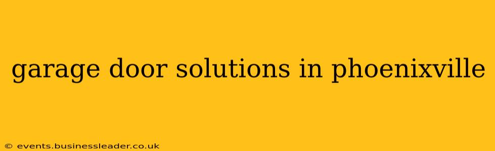 garage door solutions in phoenixville
