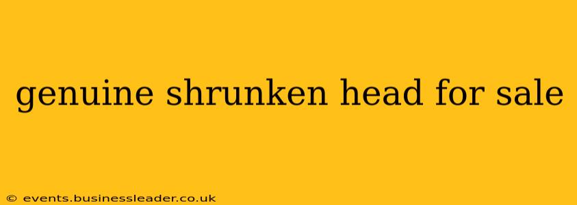 genuine shrunken head for sale