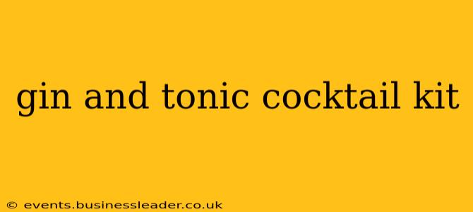 gin and tonic cocktail kit