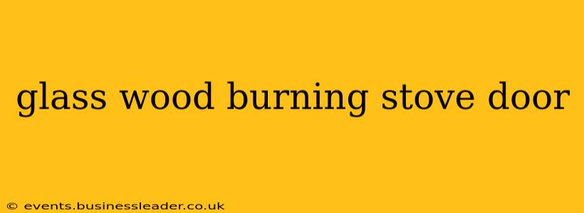 glass wood burning stove door