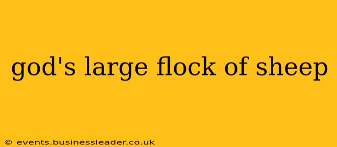 god's large flock of sheep
