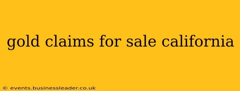gold claims for sale california