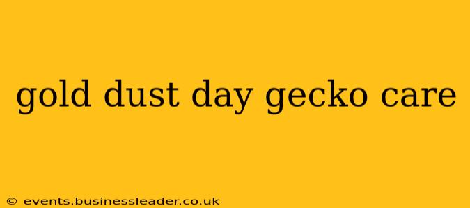 gold dust day gecko care