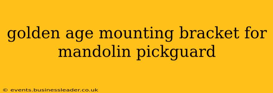 golden age mounting bracket for mandolin pickguard