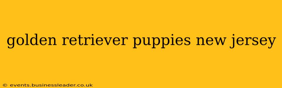 golden retriever puppies new jersey