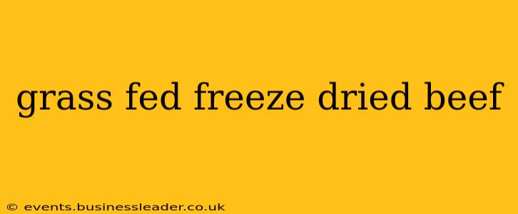 grass fed freeze dried beef