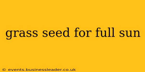 grass seed for full sun