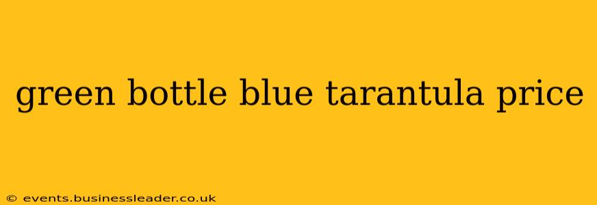 green bottle blue tarantula price